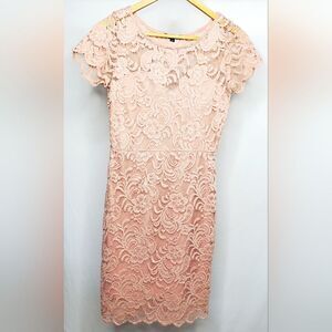 Ambiance Bodycon Blush Pink Cap Sleeve Lace Dress Medium Romantic Coquette Girl